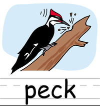 Pecking Bird ABC Teach